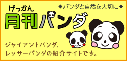 ［月刊パンダ］ジャイアントパンダ、レッサーパンダの紹介サイトです。